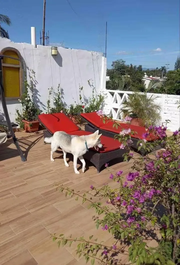 Private Room In A Boho House N1 Puerto Vallarta Mexico